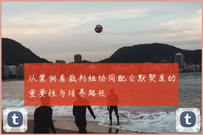 从案例看裁判组协同配合默契度的重要性与培养路径
