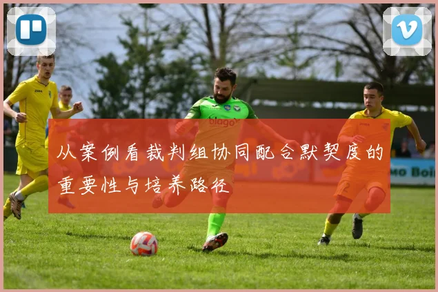 从案例看裁判组协同配合默契度的重要性与培养路径
