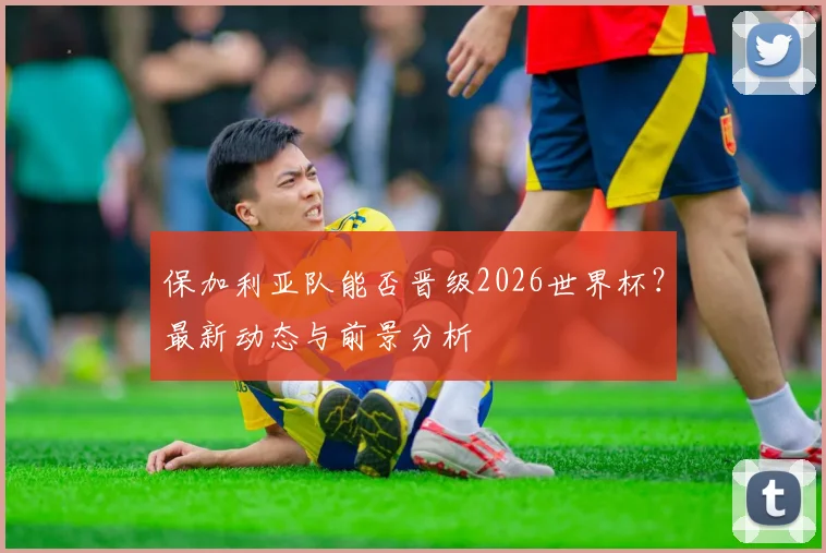 保加利亚队能否晋级2026世界杯?最新动态与前景分析